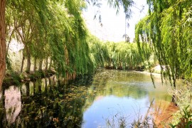 elqui-012