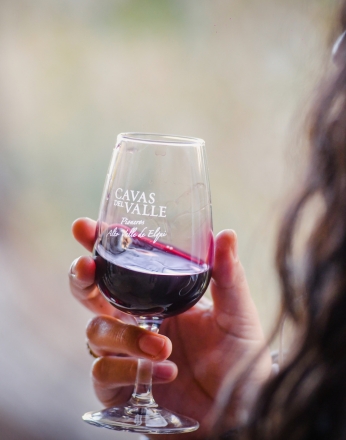 Tour Tradicional en Cavas del Valle