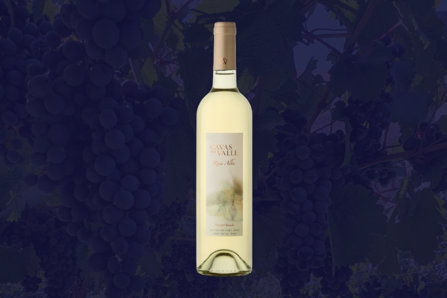 Rosa Alba - Moscatel Rosada Cavas del Valle