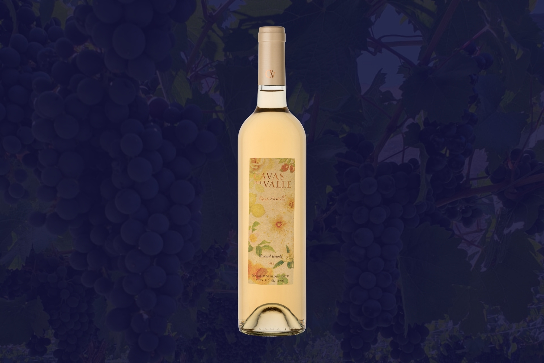 Rosa Pastilla - Moscatel Rosada Cavas del Valle