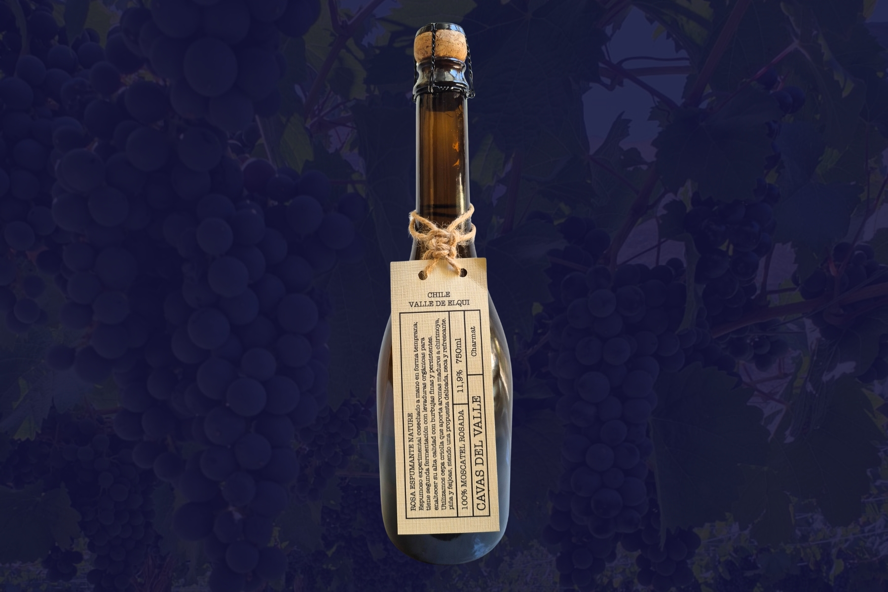 Experimental Nature Sparkling – Rosé Muscat by Cavas del Valle