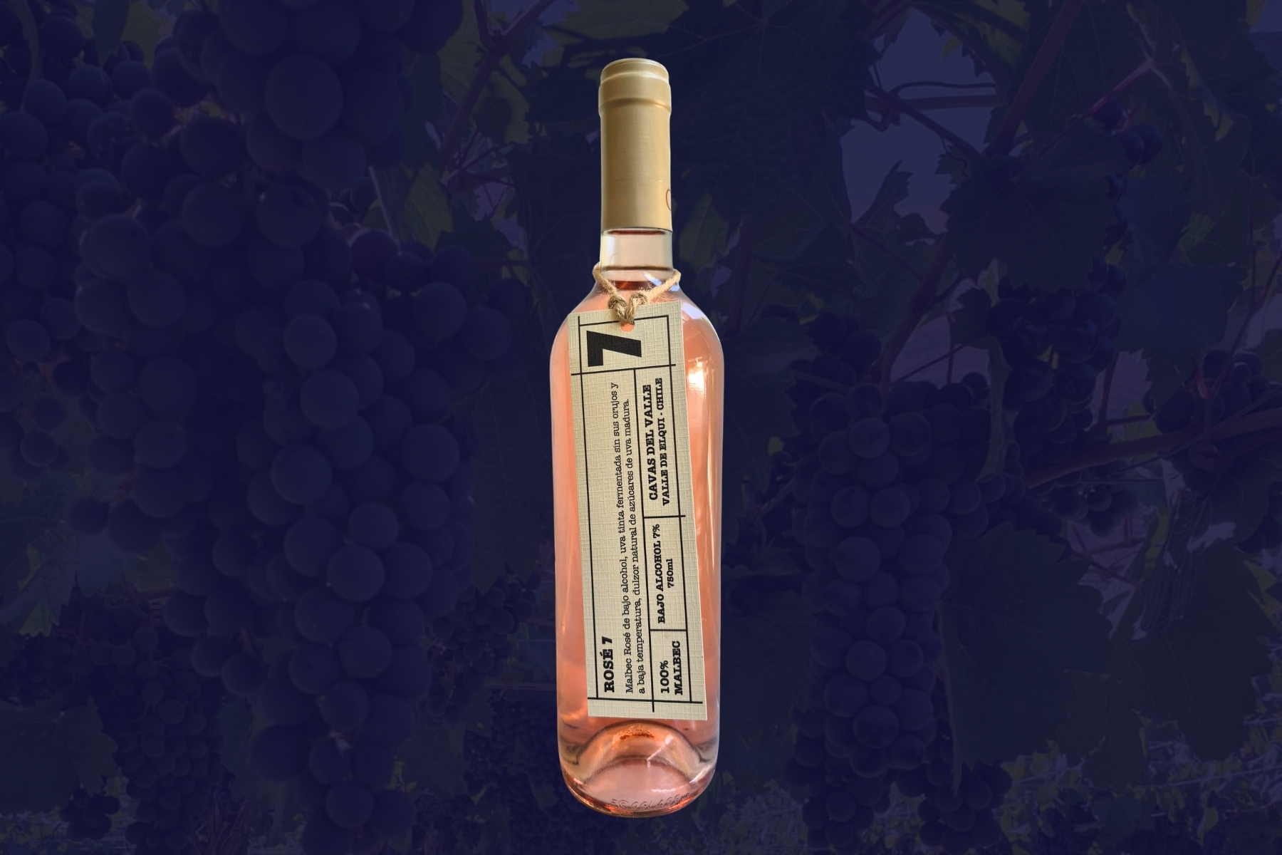 Rosé Malbec Low Alcohol – Cavas del Valle