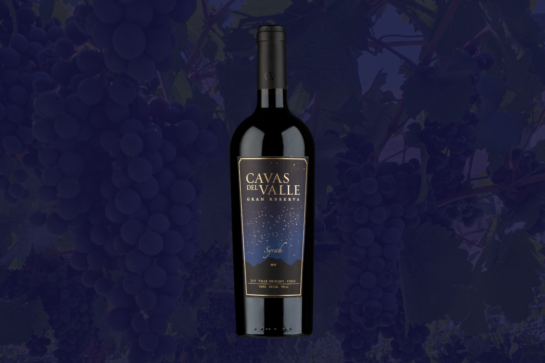 Gran Reserva Syrah – Cavas del Valle
